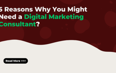 5 Reasons Why You Might Need a Digital Marketing Consultant?